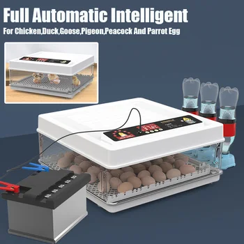 Plne Automatické Inteligentné Dvojité Elektrické Inkubátor Farba Displeja Automatické Doplnenie Vody Mini Domácnosti Inkubátor